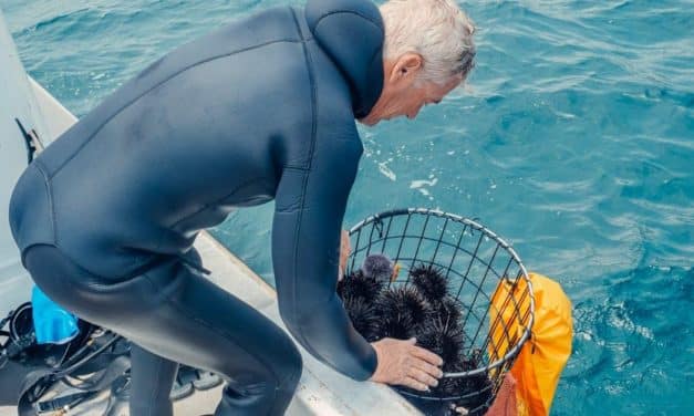 Fangstnet: Vigtige overvejelser og valg til din næste fisketur