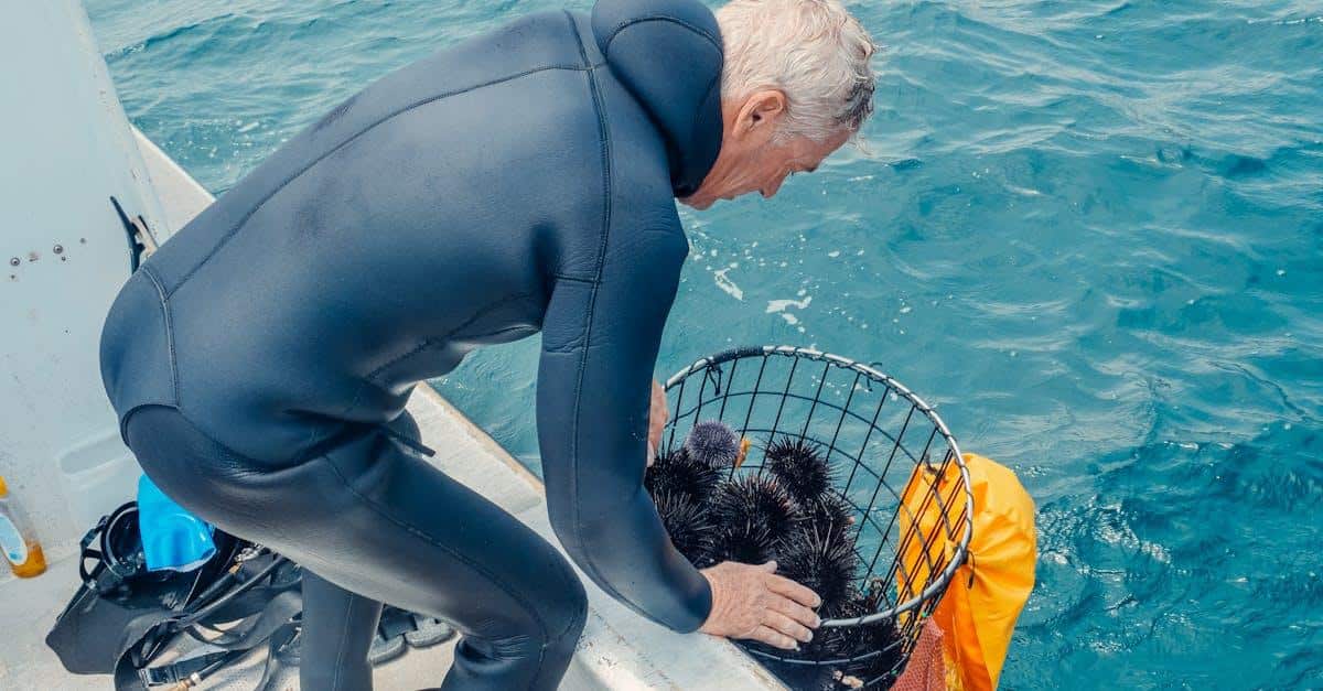 Fangstnet: Vigtige overvejelser og valg til din næste fisketur